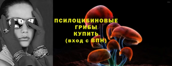 круглые Алексеевка