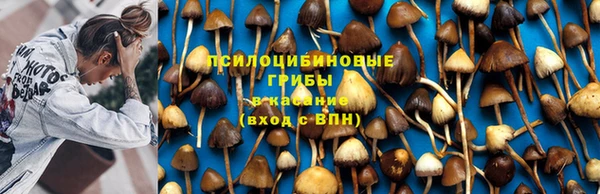 гидропоника Алзамай
