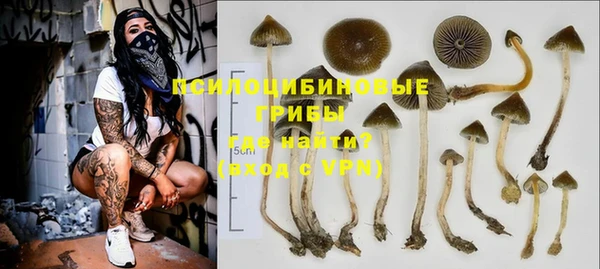 прущий лед Алексин